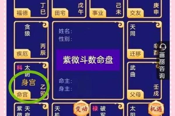 紫薇斗数子女宫空