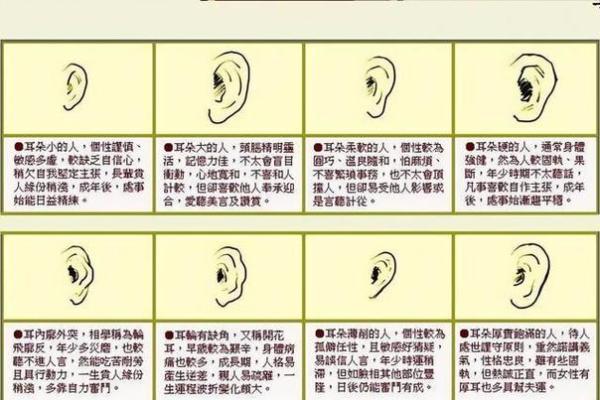 耳相算命图解，如何从耳相看人的命运