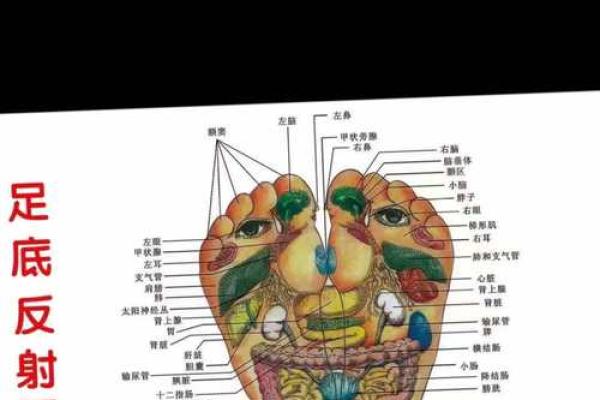 脚底的胎记算命分析 脚底的胎记算命分析