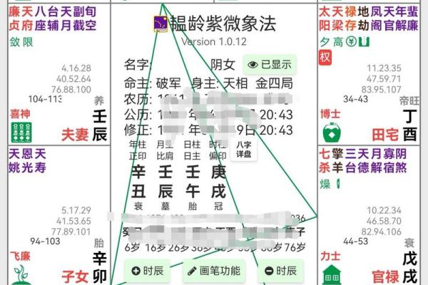 紫薇斗数4