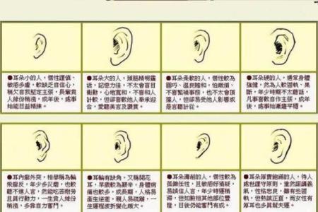 耳相算命图解，如何从耳相看人的命运