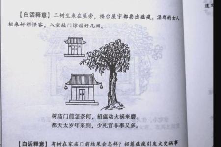 预测吉凶，住宅风水学入门知识
