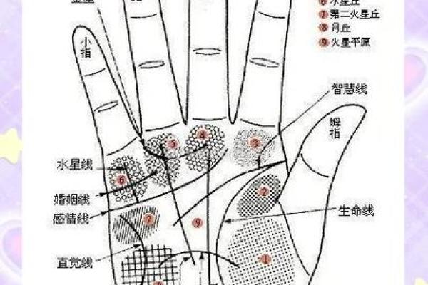 女人手纹算命图解,有福气的女人手相