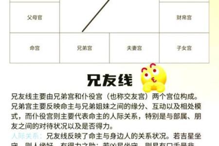 紫薇斗数初级入门