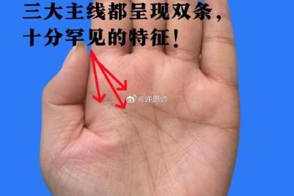 生命线算命：手掌上的玄机真能预测你的命运？