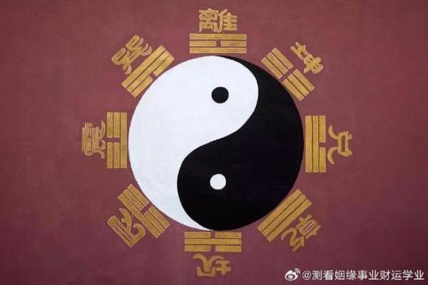 八字动星 八字动星