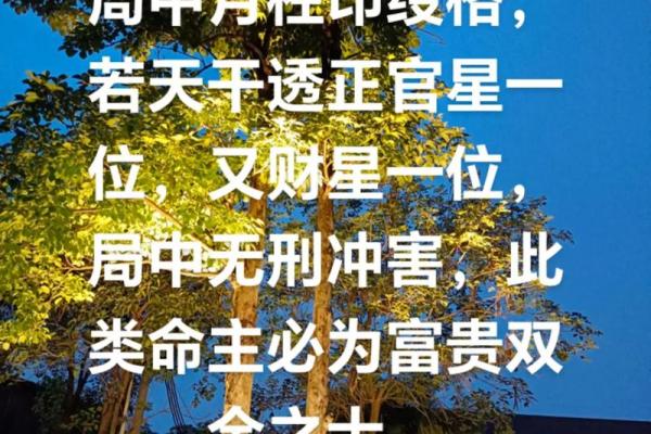 女命八字出现财官印真的好吗