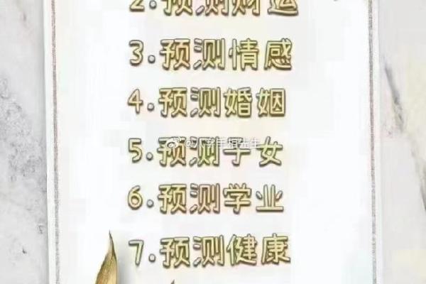 看相算命有哪些视频