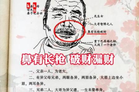 相书算命面相 相书中的面相能算命吗