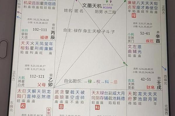 紫薇斗数+巨门星