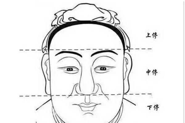 耳朵面相算命 耳朵面相算命