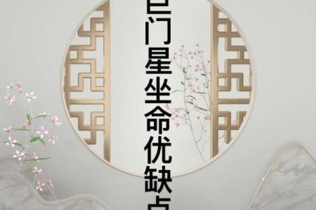 紫薇斗数+巨门星