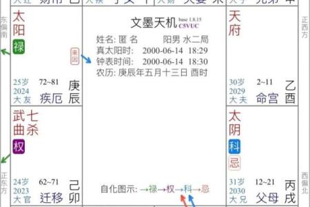 紫薇斗数农历木三局表格图