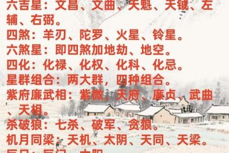 紫微斗数资料- 紫微斗数资料pdf百度网盘？