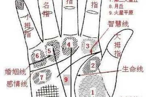 凯帝阿手相算命图解大全07