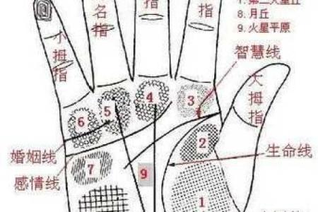 凯帝阿手相算命图解大全07