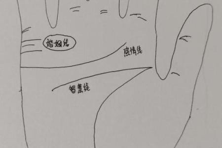 图解：手相纵欲线算命