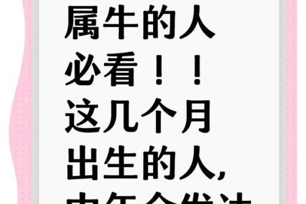 牛年生肖算命揭秘你的命运 牛年生肖算命揭秘你的命运