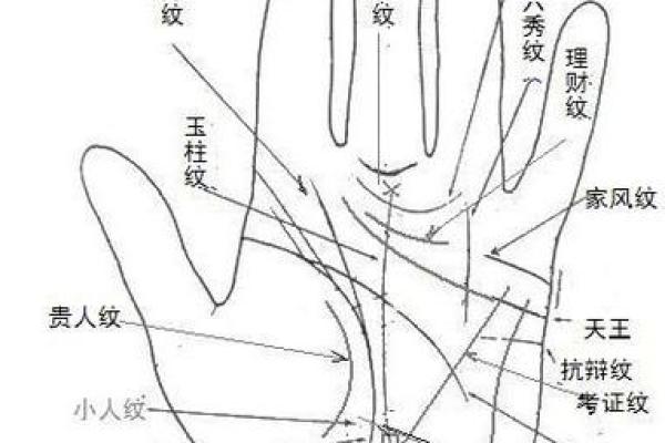 看手相算命大师免费下载 看手相算命大师免费下载