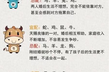 男女八字合婚姓名配对，准确解析婚姻缘分！