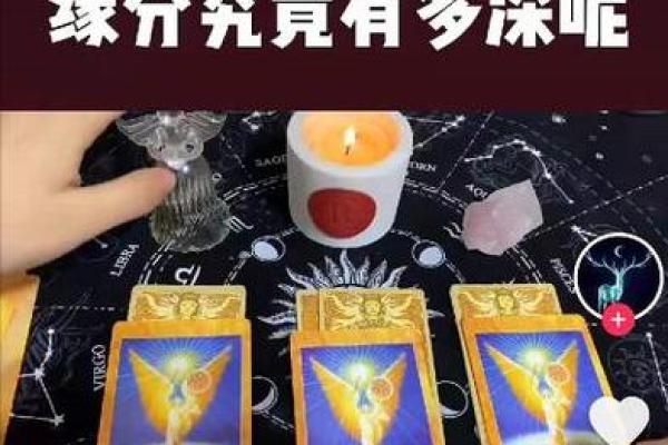 塔罗测试创业的你成功率大吗- 塔罗测试创业的你成功率大吗-