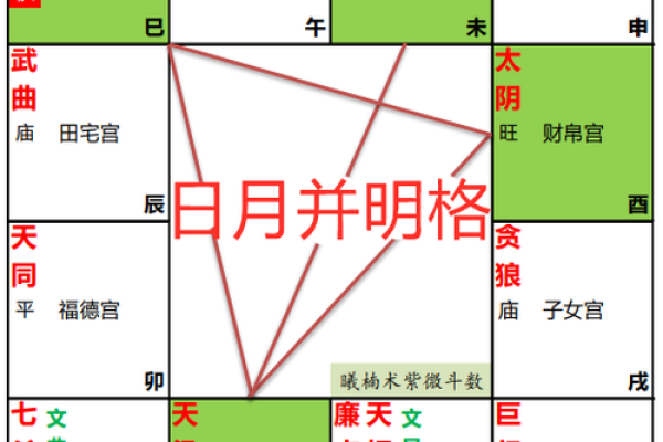 紫薇斗数状元格
