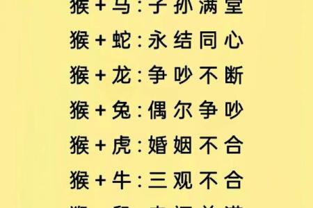 十二生肖配对算命 配婚姻八字十二生肖免费