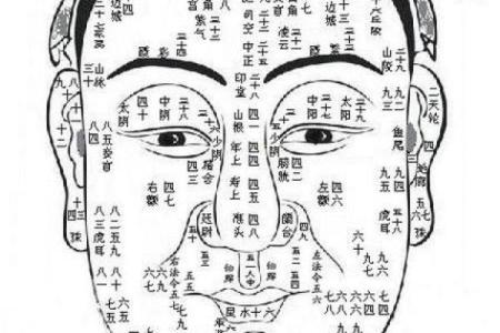 下巴算命看人生，面相下巴看你的人生祸福