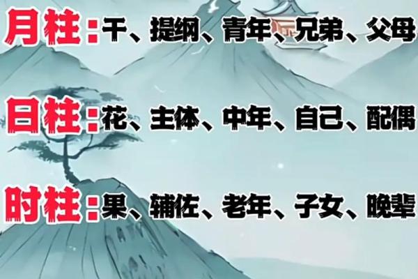 八字用神详解，轻松学会八字，洞悉自身命运走向