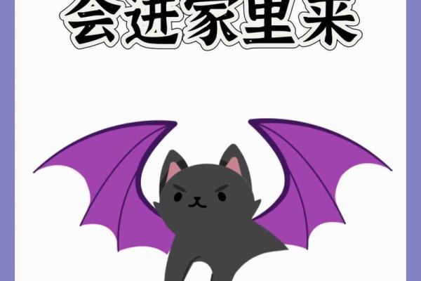 动物风水之家里飞进蝙蝠的解说