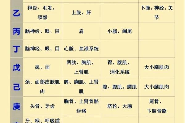 八字人格 八字人格