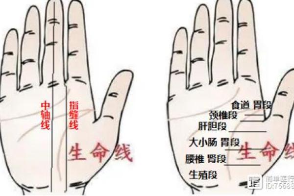 风水生命线分叉代表什么好不好
