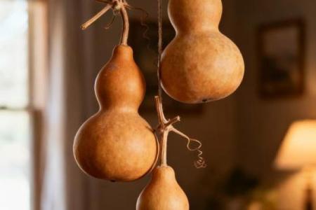 厕所放葫芦有什么风水作用