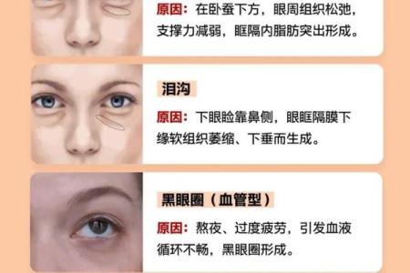 卧蚕眉面相算命图解