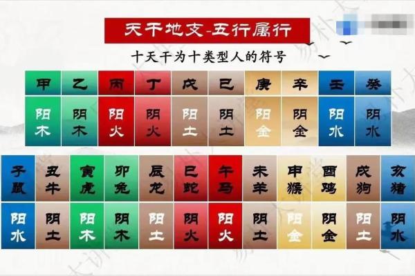 八字看主人长相