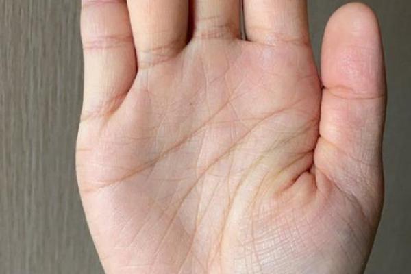 手相风水双手川字掌的女人命运如何 手相风水双手川字掌的女人命运如何