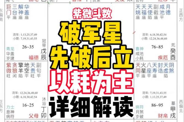 紫薇斗数详细测试 紫薇斗数详细测试