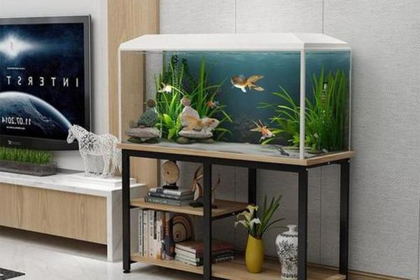 十大小户型之家居风水的宜和忌