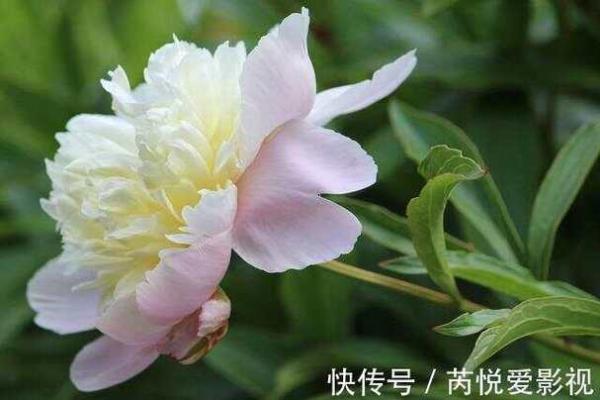 神准测试--趋利避害!最近有祸事吗? 神准测试--趋利避害!最近有祸事吗?