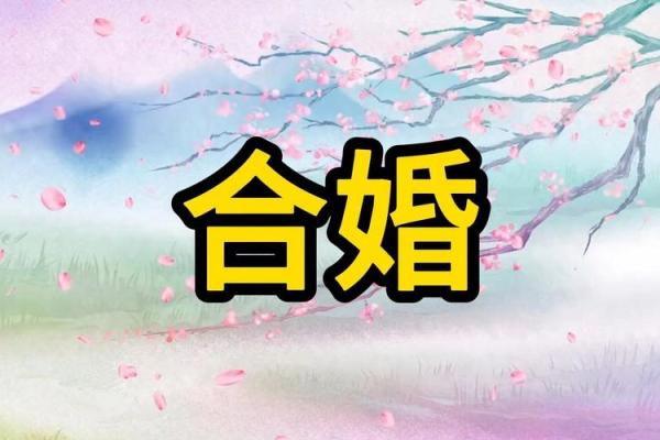 八字合盘