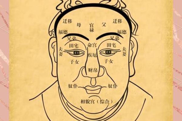 你的五官里,藏着你一生的风水 你的五官里,藏着你一生的风水