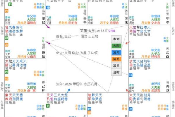 紫薇斗数疾恶化忌
