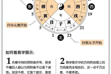 算命丁卯是什么意思  丁卯日为什么是上等命