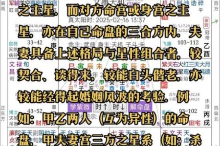 紫薇斗数二胎看哪个宫位