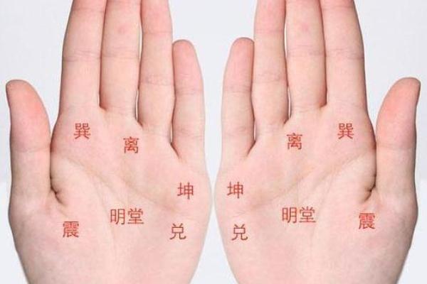 怎么看相算命,看相算命真的很准确