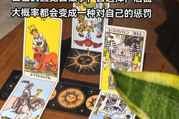 塔罗测试：你适合怎样的工作岗位