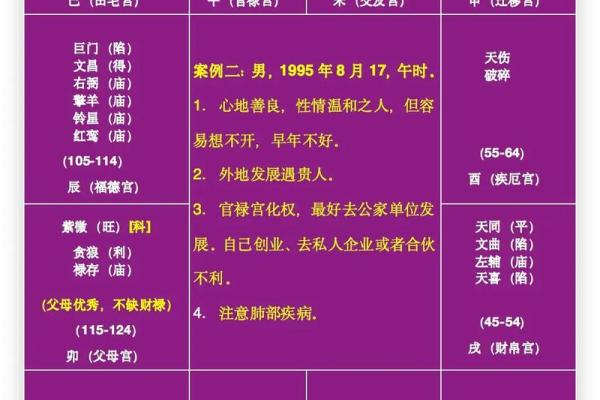 紫薇斗数appios版