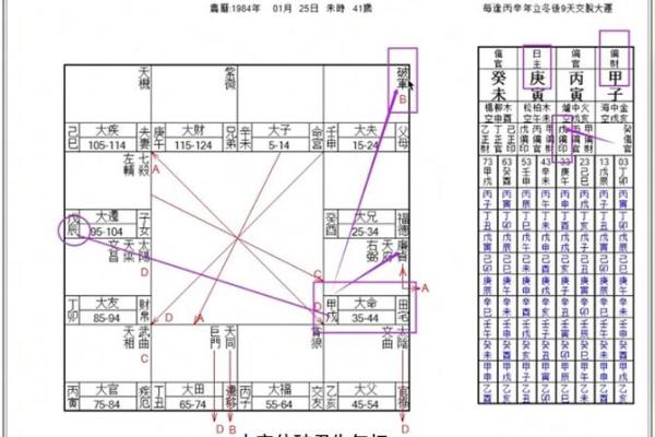 紫薇斗数盘下载 紫薇斗数盘下载