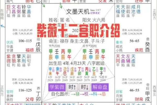 紫薇斗数各宫位 紫薇斗数各宫位