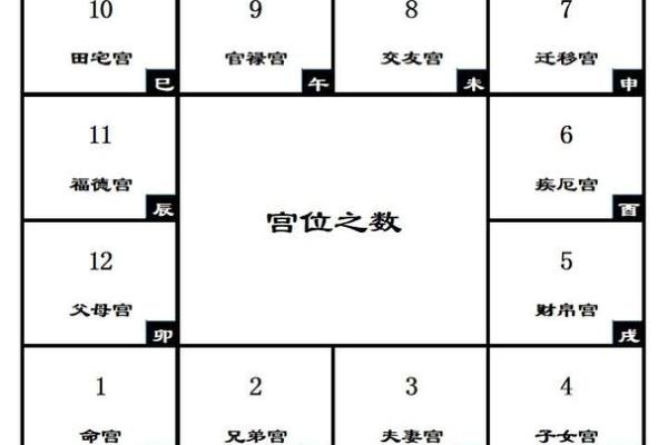 紫薇斗数各宫位 紫薇斗数各宫位